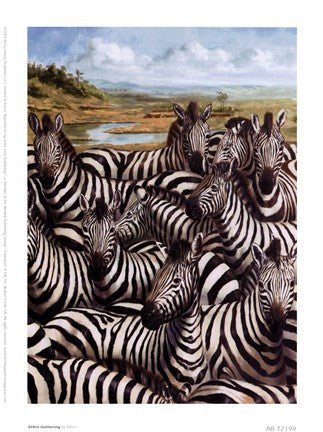 Zebra Gathering