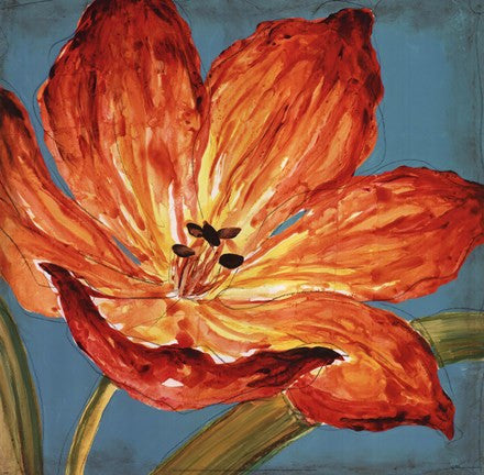 Flame Tulip I