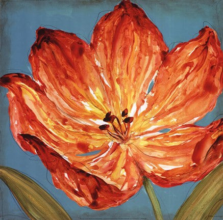 Flame Tulip II