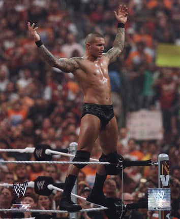 Randy Orton Wrestlemania 26 Action