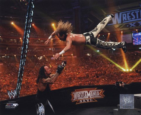 Shawn Michaels Wrestlemania 26 Action