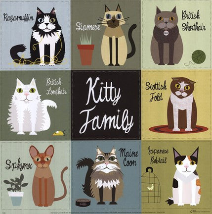 Kitty Family