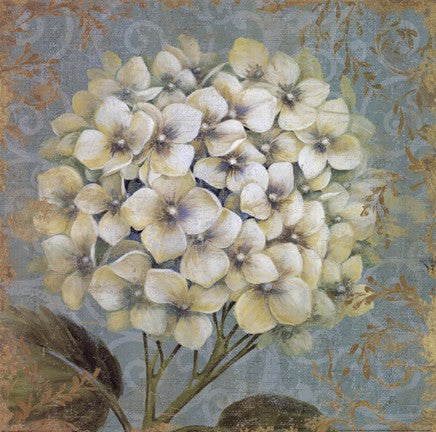 Hydrangea Square I