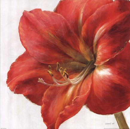 Vivid Amaryllis