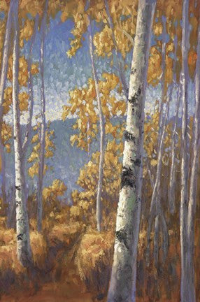 Aspen Forest II