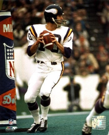 Fran Tarkenton action