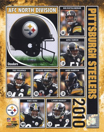 Pittsburgh Steelers 2010 Composite