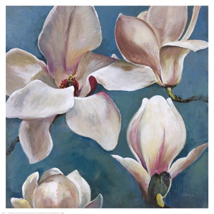 New Magnolias II