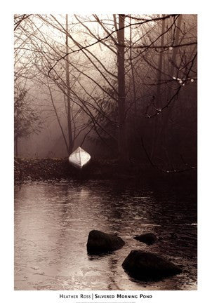 Silvered Morning Pond