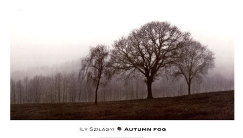 Autumn Fog