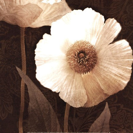 Paisley Poppy II