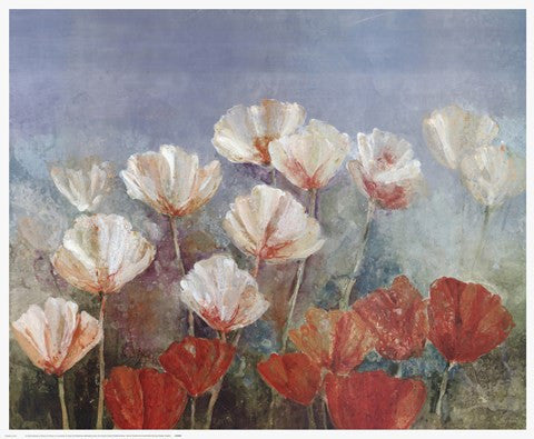 Blushing Poppies