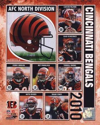 2010 Cincinnati Bengals Team Composite