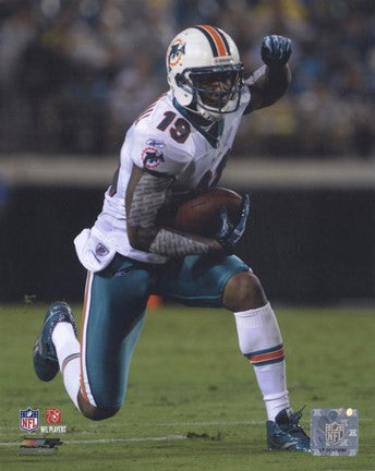 Brandon Marshall 2010 Action