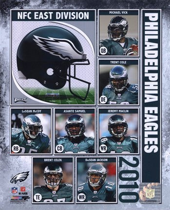 2010 Philadelphia Eagles Team Composite