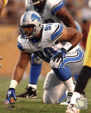 Ndamukong Suh 2010 Action