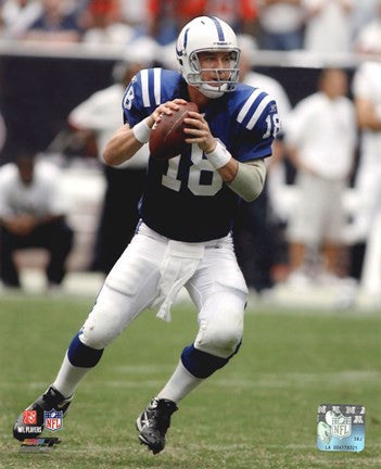 Peyton Manning 2010 in Action