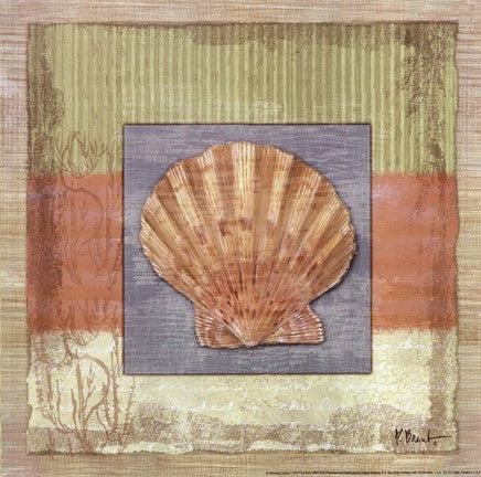 Montego Scallop