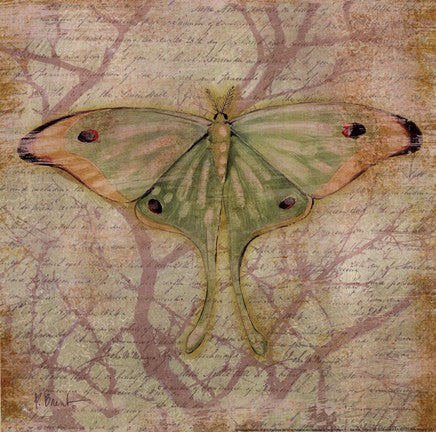 Vintage Butterflies III