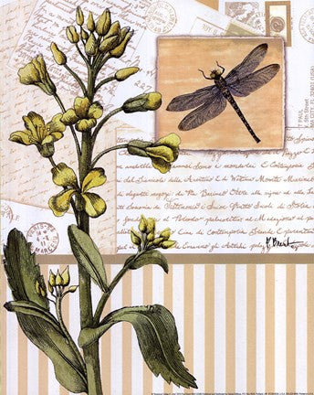 Botanical Collage II - mini