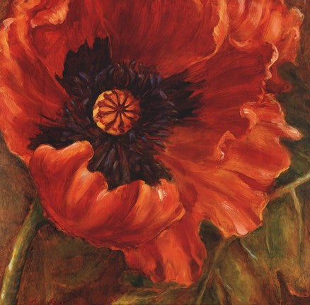 Red Poppy