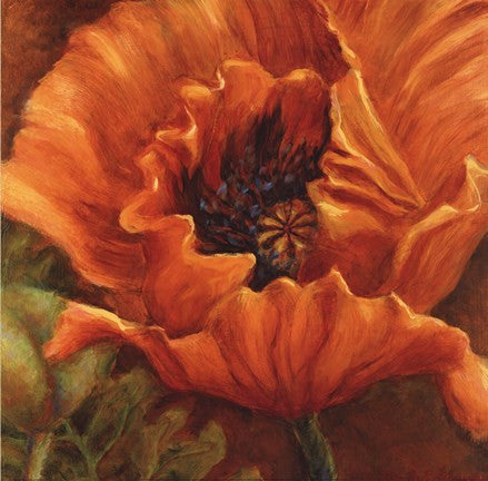 Orange Poppy