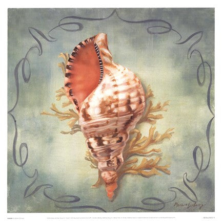 Seashells I