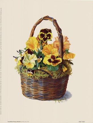 Sunshine Pansy Basket