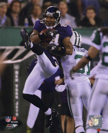 T.J. Houshmandzadeh 2010 Action