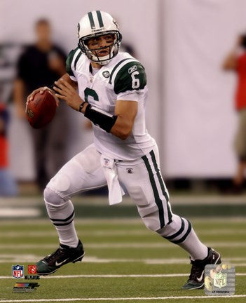 Mark Sanchez 2010 football