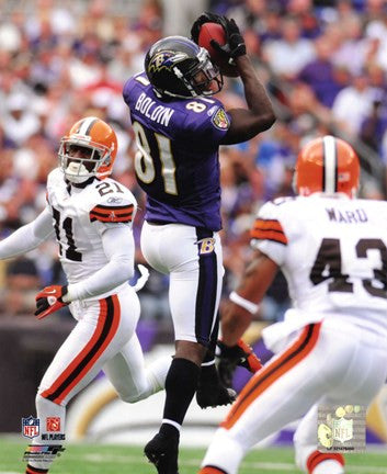 Anquan Boldin 2010 Action