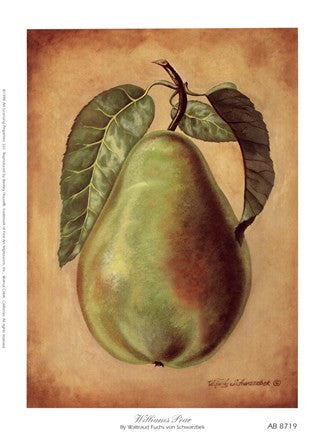 Williams Pear