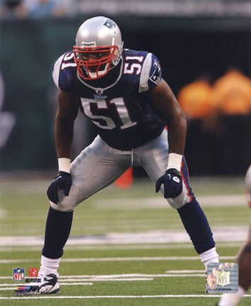 Jerod Mayo 2010 Action