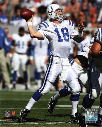 Peyton Manning 2010 throwing the ball