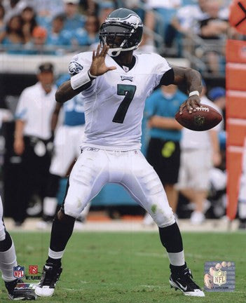 Michael Vick 2010 Action