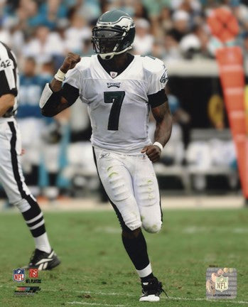 Michael Vick 2010 Action