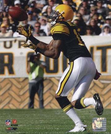 Mike Wallace 2010 Action