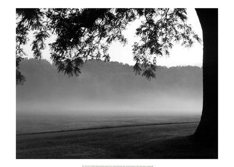 Fog in the Park I