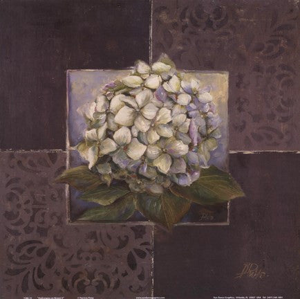 Hydrangeas on Brown II