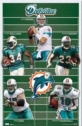 Dolphins - Team 2010