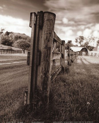 Fence II