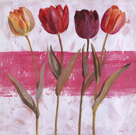 Tulipe sur Rose