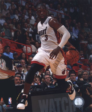 Dwyane Wade 2010-11 Action