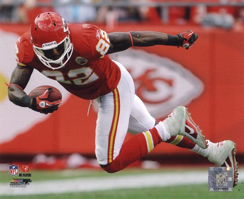 Dwayne Bowe 2010 Action