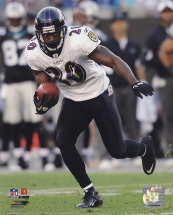 Ed Reed 2010 Action