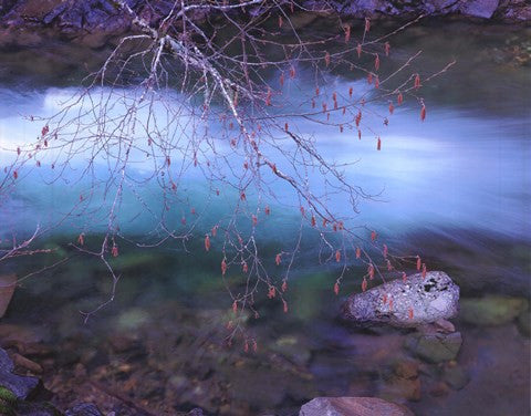 Early Spring Mt. Creek