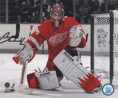 Jimmy Howard 2010-011 Spotlight Action