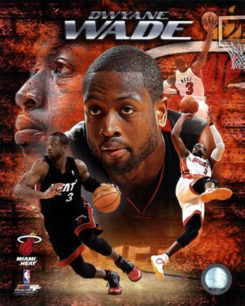 Dwyane Wade 2010 Portrait Plus