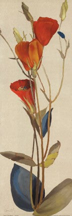 Red Grandiflorum II