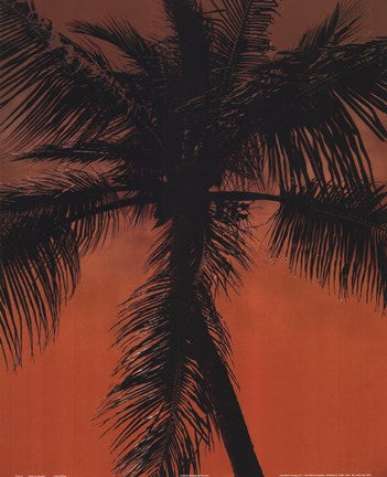 Palm on Orange